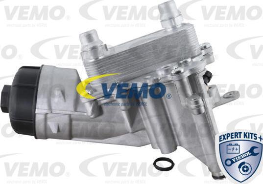 Vemo V24-60-0019 - Radiatore olio, Olio motore www.autoricambit.com